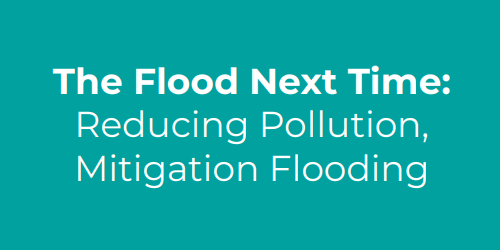 TheFloodNextTime the words "The Flood Next Time: Reducing Pollution Mitigation Flooding" in white on a teal background
