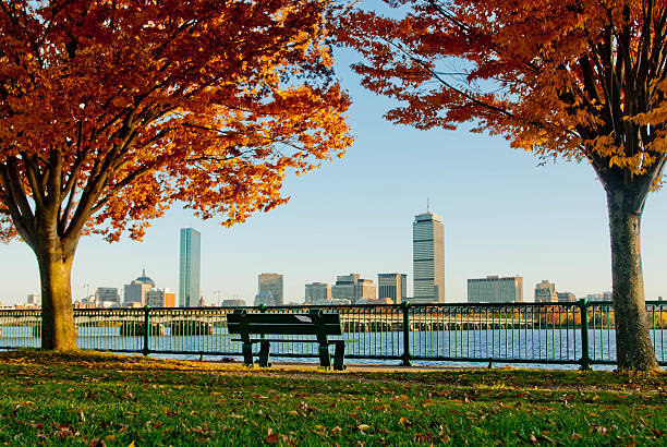 Autumn Boston Skyline viewed from across the river the boston skyline is visible in the distance with the charles river in front of it, as viewed from the grass along the river; there is a walking path along the river with a fence between the path and the river; a bench sits facing the river and two trees with leaves changing to orange and yellow are on either side of the bench, framing the skyline in the distance photo credit: danica chang