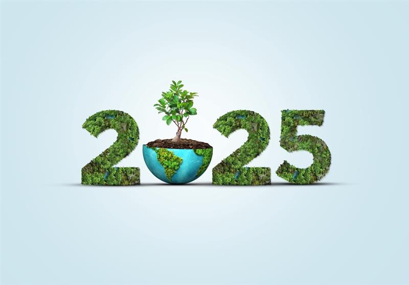 2025_Green The number 2025 in green plants, with the 0 replaced with half an Earth where the top half is removed and a plant is growing out of the bottom half